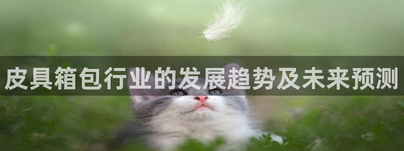 必一体育登入
