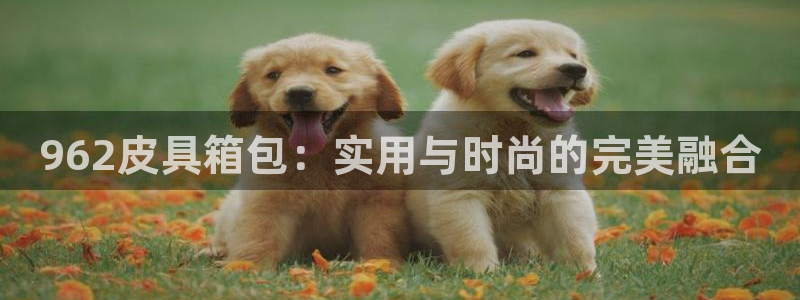 必一体育sport官方网站