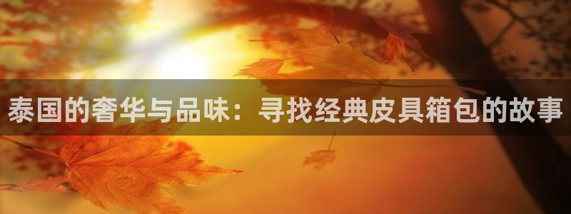 必一体育官方下载入口