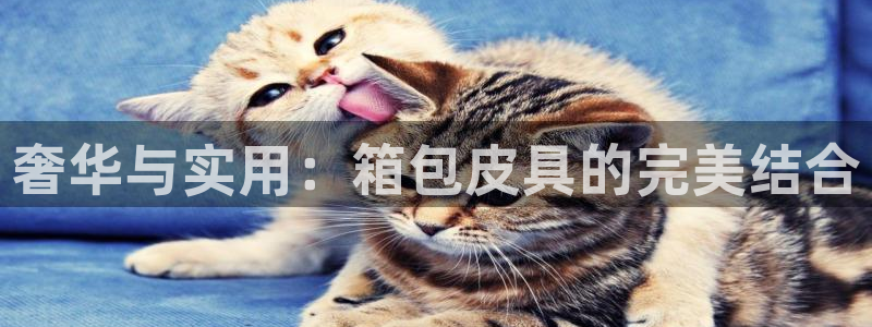 必一体育验证码