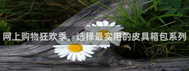 必一体育APP