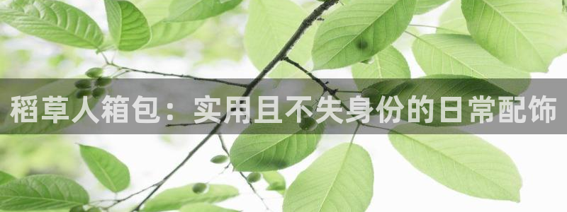必一体育网页登陆