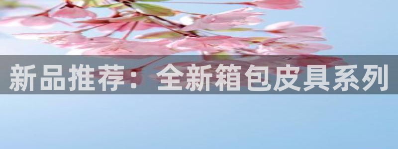 必一体育服下载最新版本更新内容