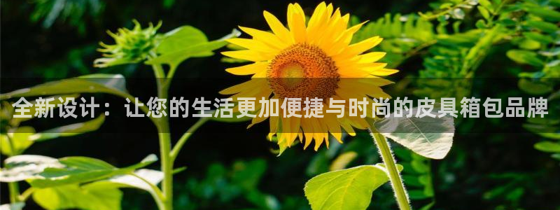 必一体育是哪里的台子