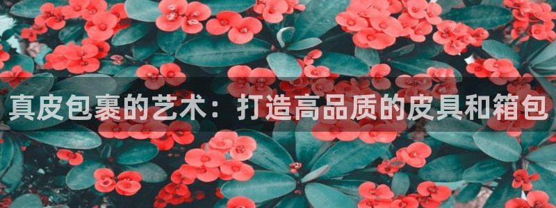 必一运动tieba.baidu.com