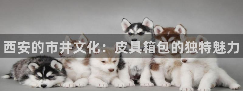 b体育官网下载入口app必一