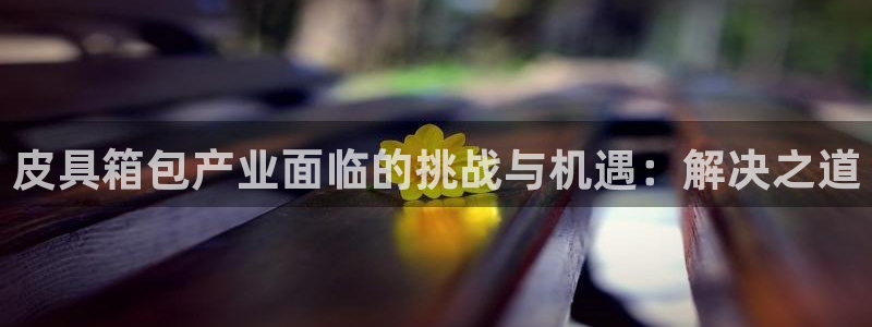 b体育必一下载