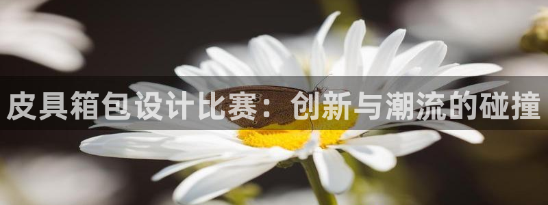 必一体育app下载最新版本