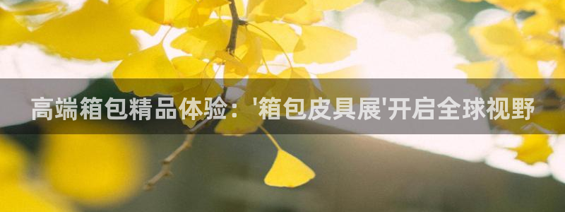 必一体育官方网站入口