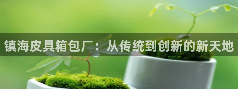 必一体育在哪下