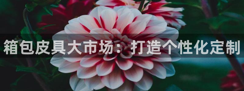 必一体育运动下载