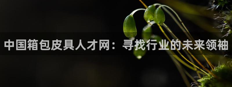 必一体育下载app