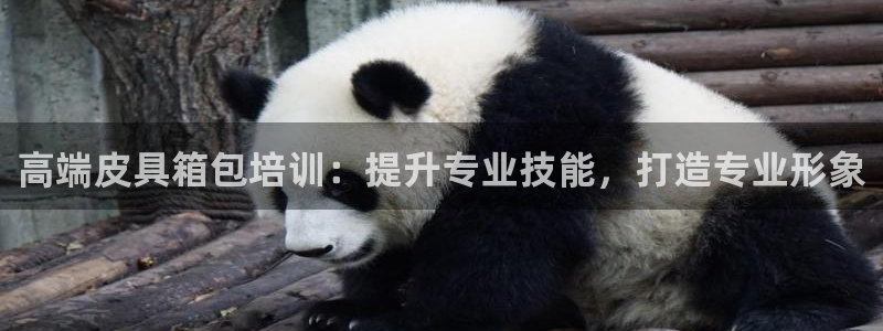 必一体育秀给网