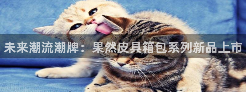必一运动听的歌