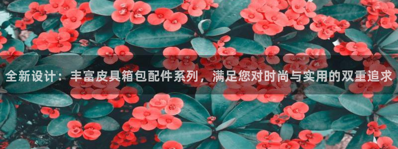 必一体育bsport下载