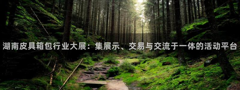必一运动sport网页版