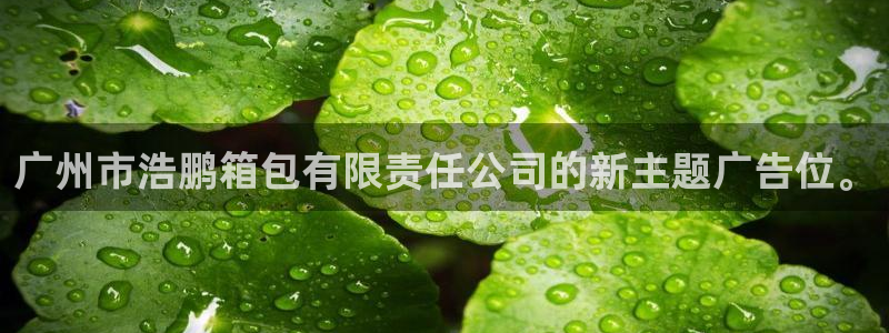 必一体育网页版登录