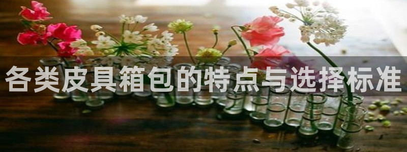 必一体育秀给网