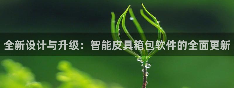 必一体育下载入口