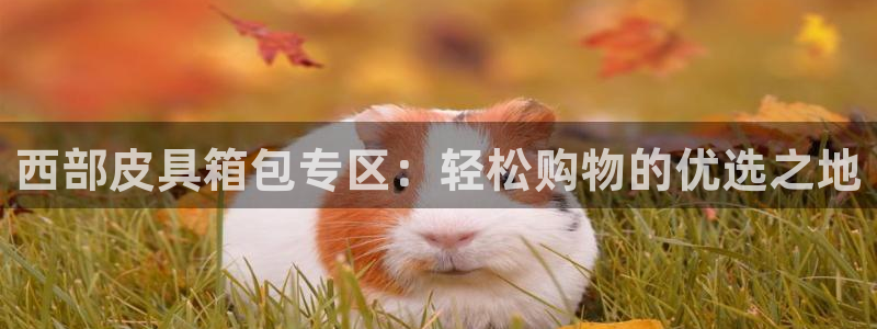 必一体育app官方正版下载