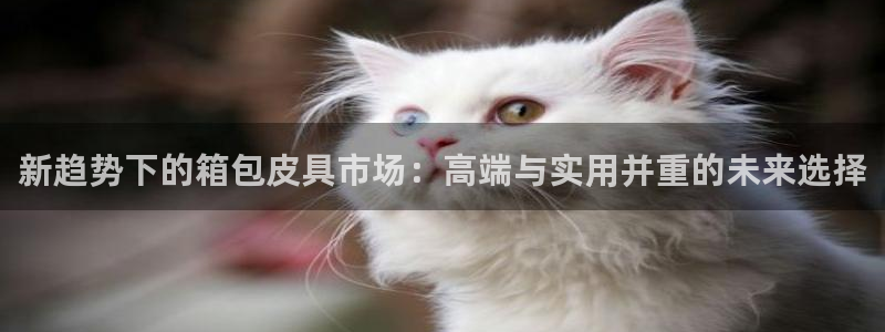 必一运动tieba.baidu.com