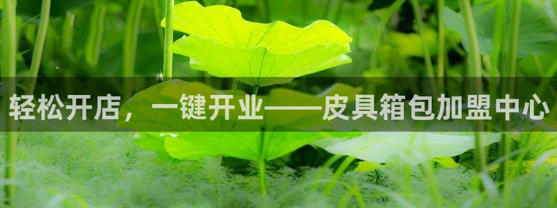 必一体育bsport下载