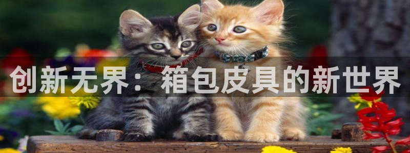 必一体育sportB体育