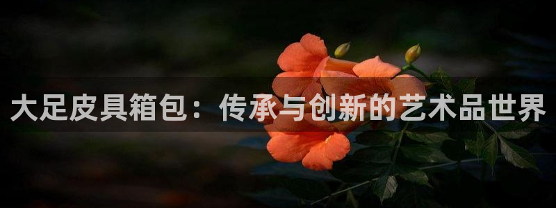 必一体育在线玩