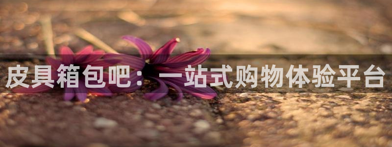 必一体育登录入口