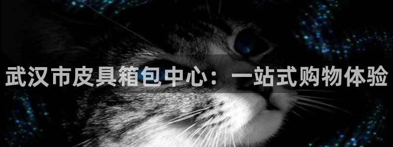 必一体育下载移动版