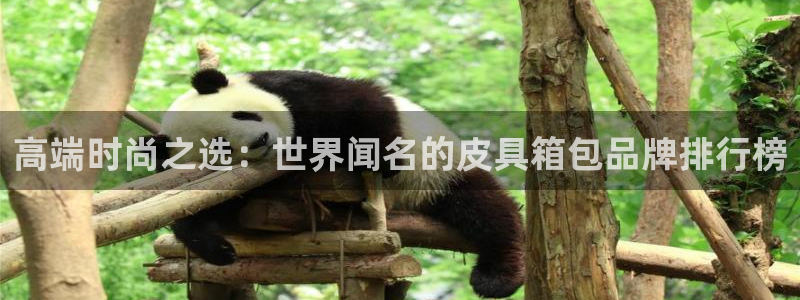 必一体育bsport下载