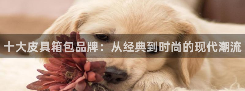 必一体育是哪里的台子