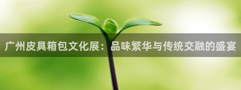 必一体育APP下载安装