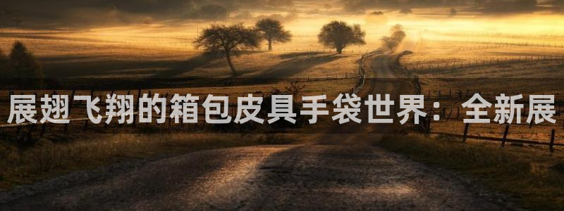 必一体育黑平台