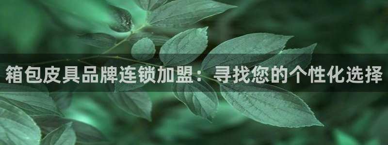 必一体育最新官网入口首页