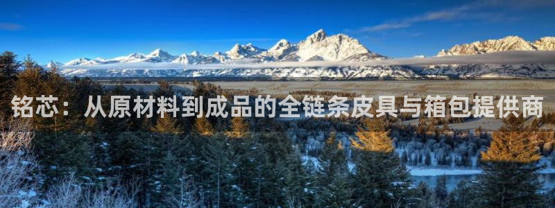 必一体育黑平台