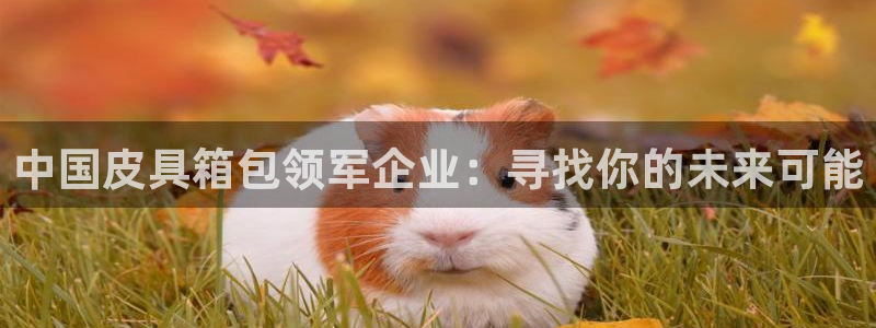 必一运动官网登录入口