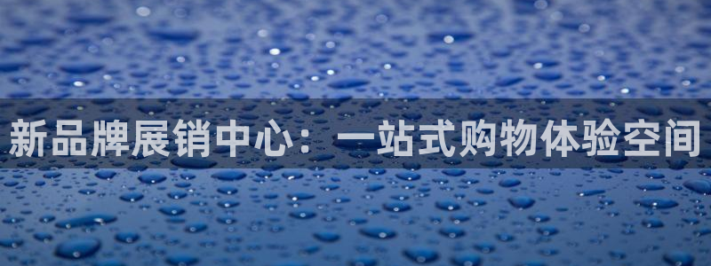 必一体育在哪下