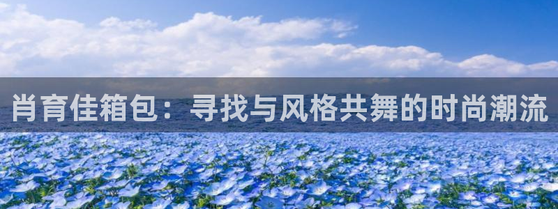 必一体育全站在线登录入口