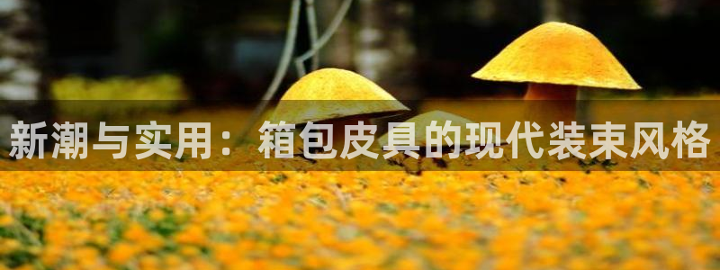 必一运动体育官网