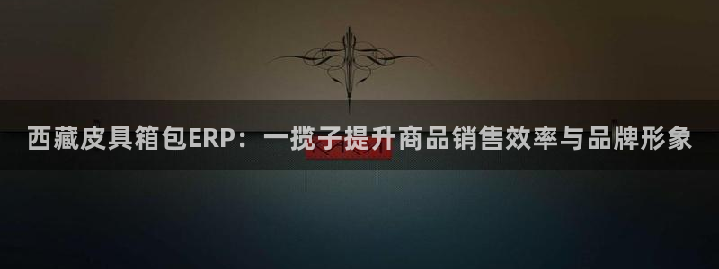 必一体育官方网站入口