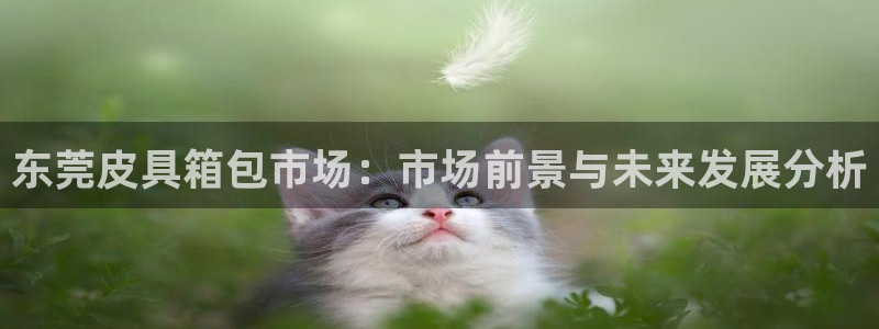 必一体育在线登陆