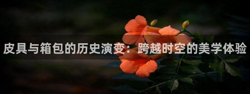 Bsport体育app必一