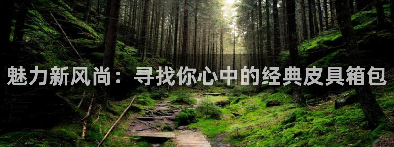 必一体育下载app下载