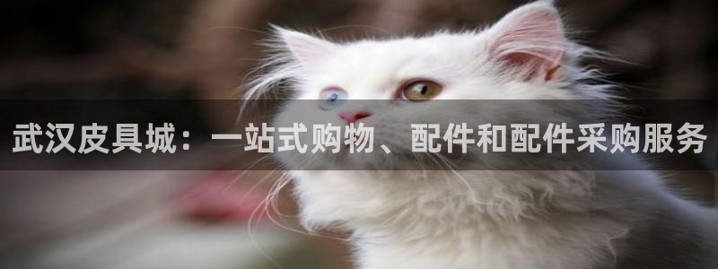 必一体育app下载安装