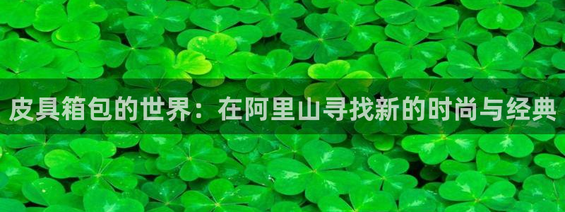 必一体育sport官方网站