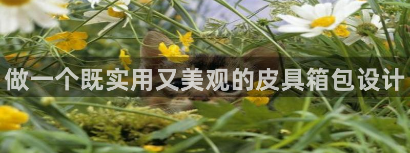 必一体育网页版登录