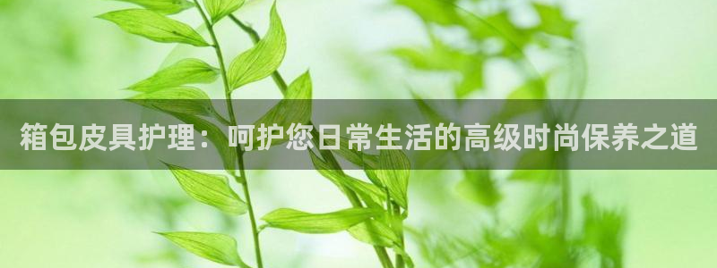 必一体育sport装机吧