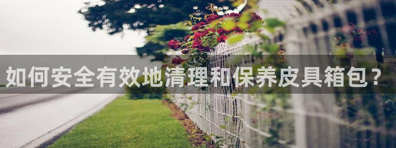 必一体育网页登陆
