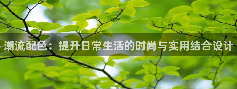 必一运动